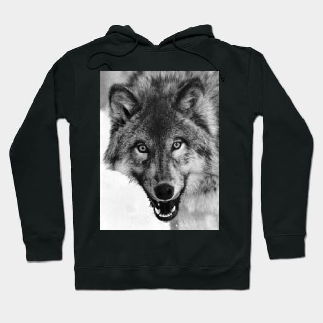 Wolftacular Hoodie by CrazyCreature